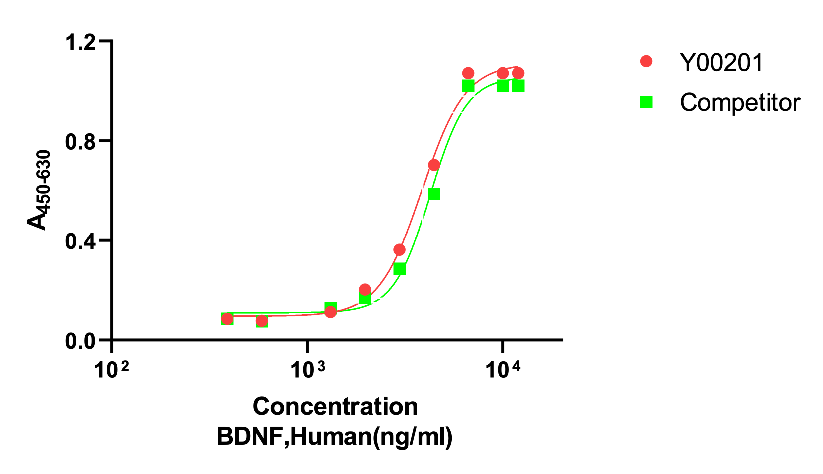 The activity is determined by the dose-dependent proliferation of C6 cell sand is typically between 0.5-1.5 μg/mL. Corresponding to a specific activity of 1 x 103 units/mg.