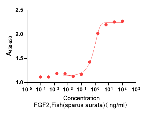 Recombinant Sparus aurata bFGF (Cat. No. Y00341) stimulates proliferation of NIH3T3 cells. The ED50 for this effect is >2.0 ng/mL. The bioactivity of recombinant Sparus aurata bFGF (Cat. No. Y00341) was higher than the other competing product.