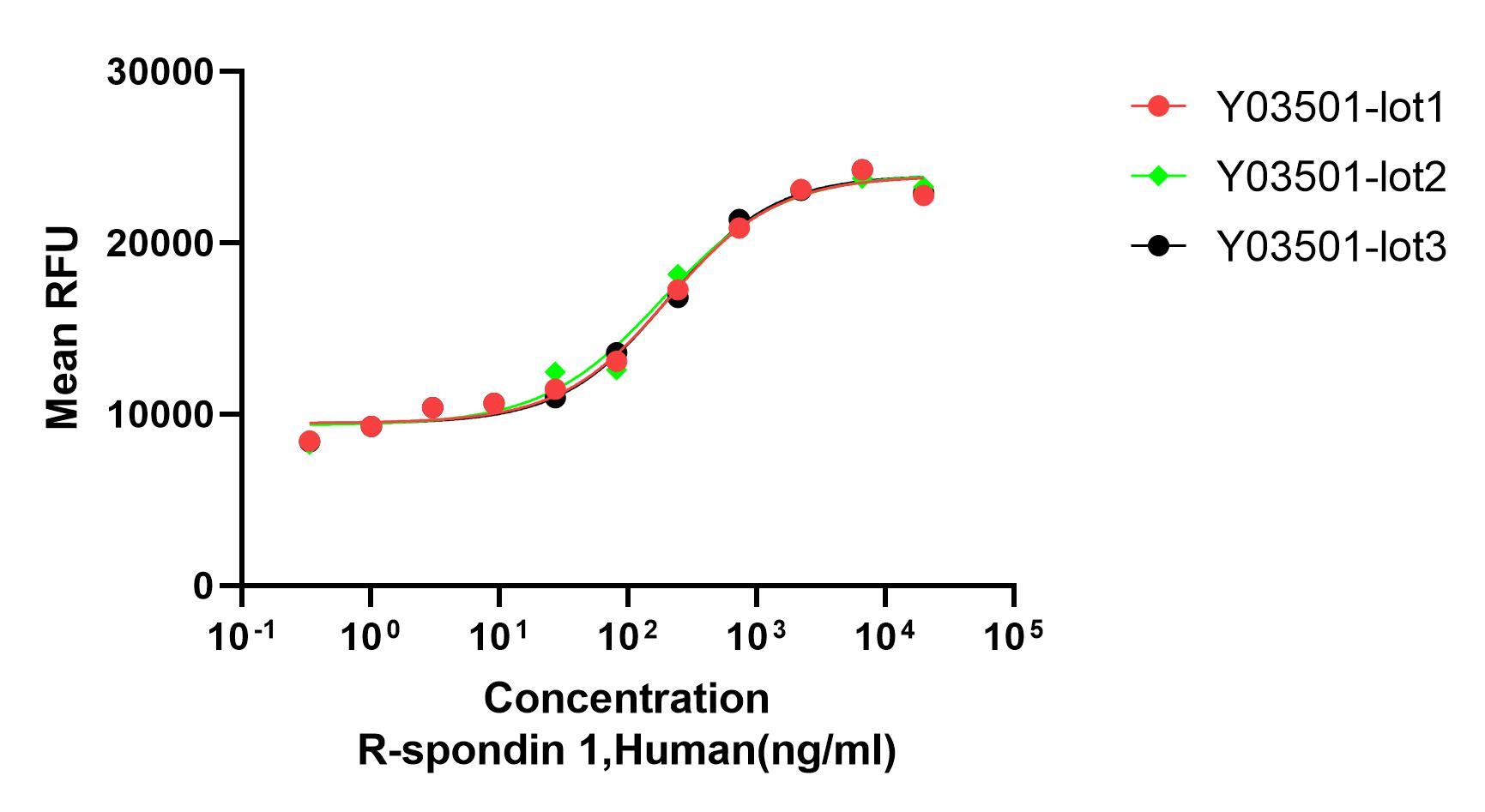 Highly consistent bioactivity between different production batches of Recombinant Human R-Spondin-1 (Cat. No. Y03501).